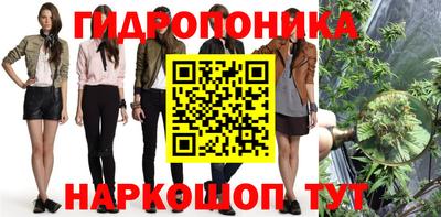 сатива Абакан