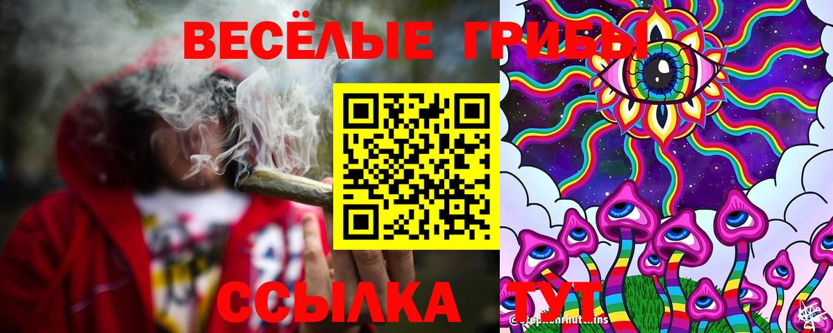 Галлюциногенные грибы Cubensis Северодвинск