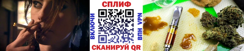 Бошки Шишки Amnesia Северодвинск